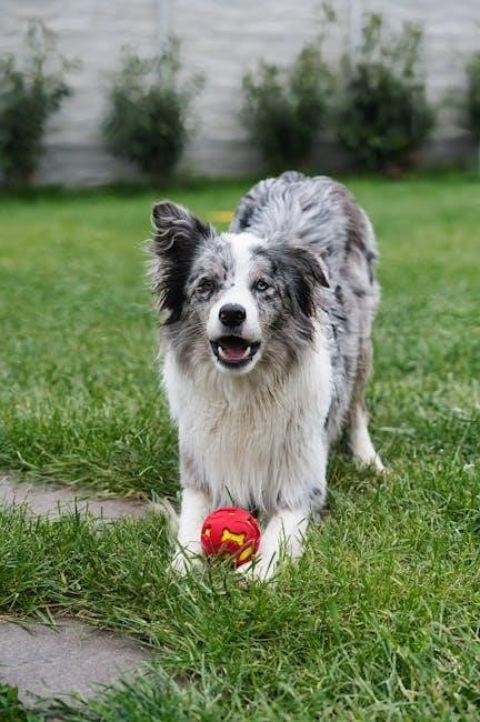 zyrtec for dogs dosage chart pdf