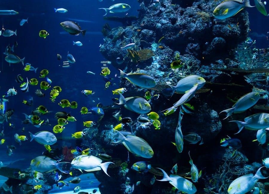 coral guide