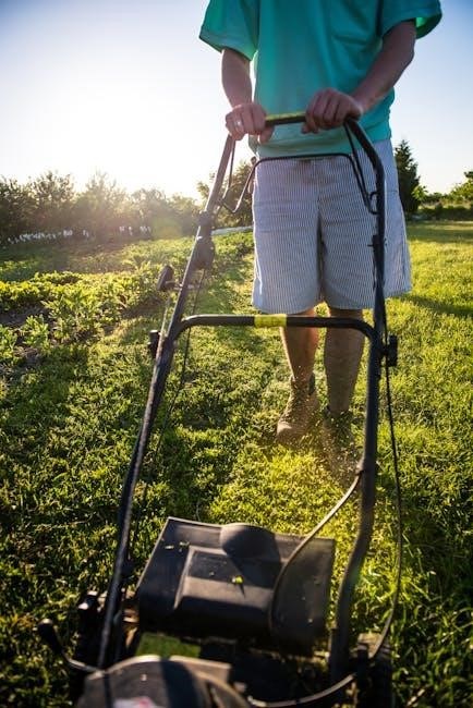 troy bilt push mower manual